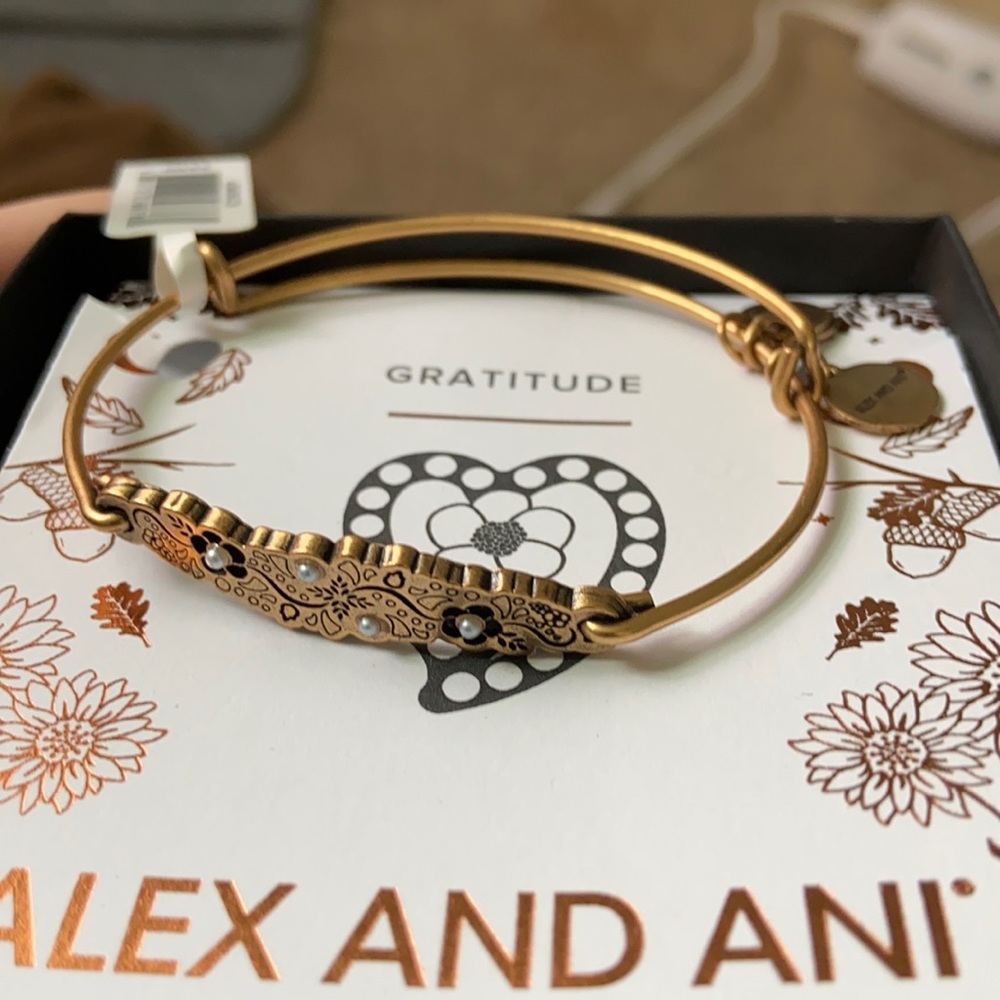 Alex and Ani Bracelet- BRAND NEW!!